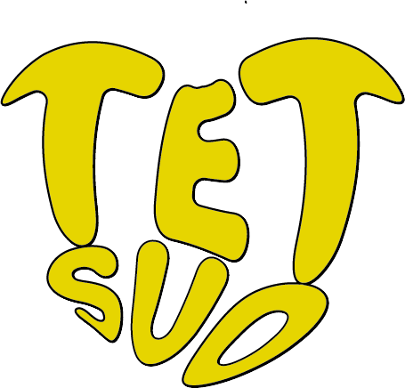 Tetsuo's Logo